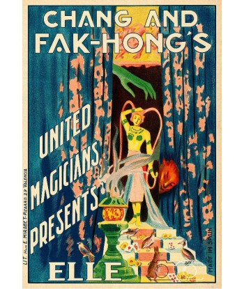 MAGIE CHANG AND FAK HONG'S Rzdy-POSTER/REPRODUCTION d1 AFFICHE VINTAGE s'inspire de l'anatomie humaine