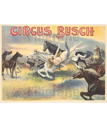 CIRQUE CIRCUS BUSCH CHEVAUX Rvmv-POSTER/REPRODUCTION d1 AFFICHE VINTAGE Livraison rapide